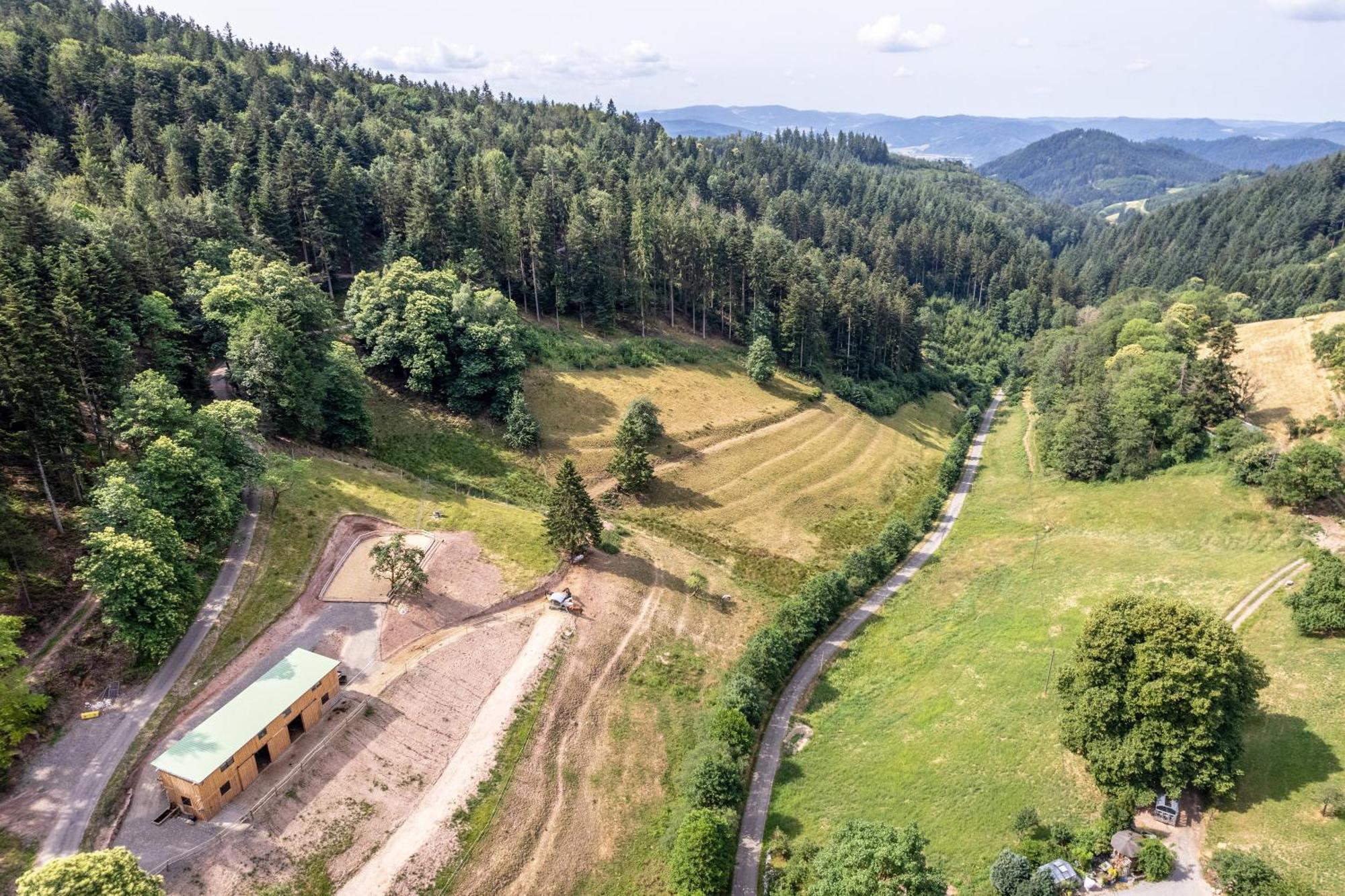 Ferienhaus Giessler Nordrach Esterno foto